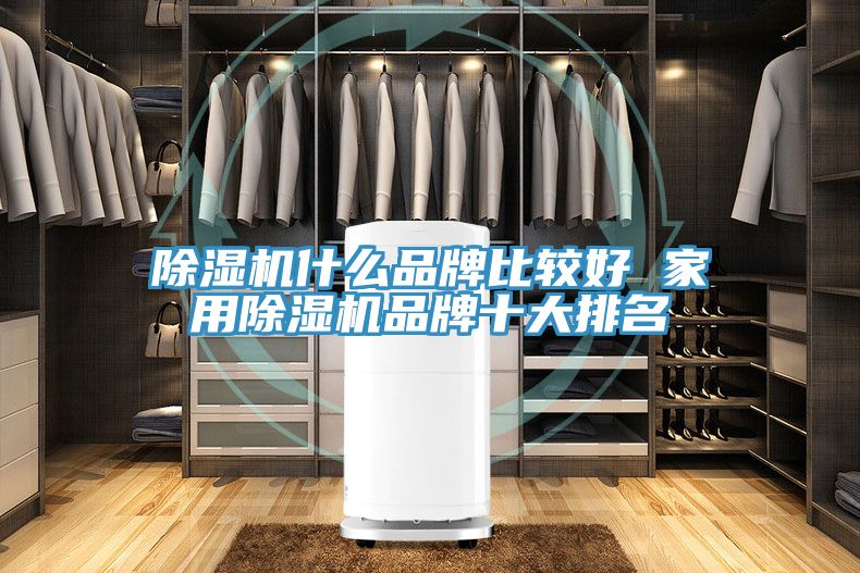 猫咪成人官网什么品牌比较好 家用猫咪成人官网品牌十大排名