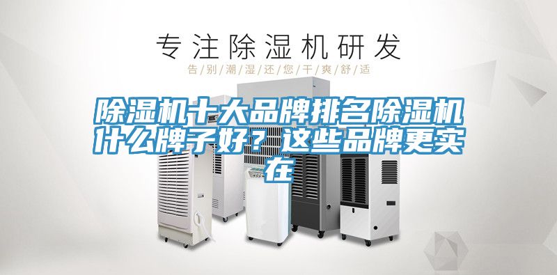 猫咪成人官网十大品牌排名猫咪成人官网什么牌子好？这些品牌更实在