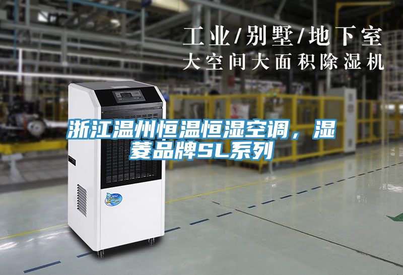 浙江温州恒温恒湿空调，湿菱品牌SL系列