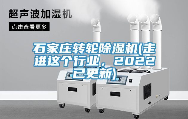 石家庄转轮猫咪成人官网(走进这个行业，2022已更新)