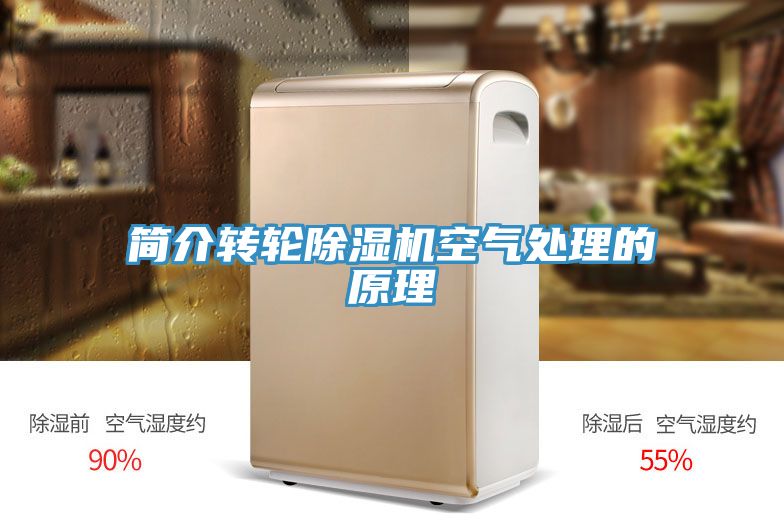 简介转轮猫咪成人官网空气处理的原理