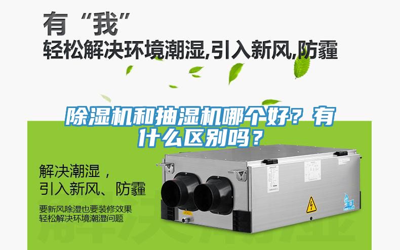 猫咪成人官网和抽湿机哪个好？有什么区别吗？