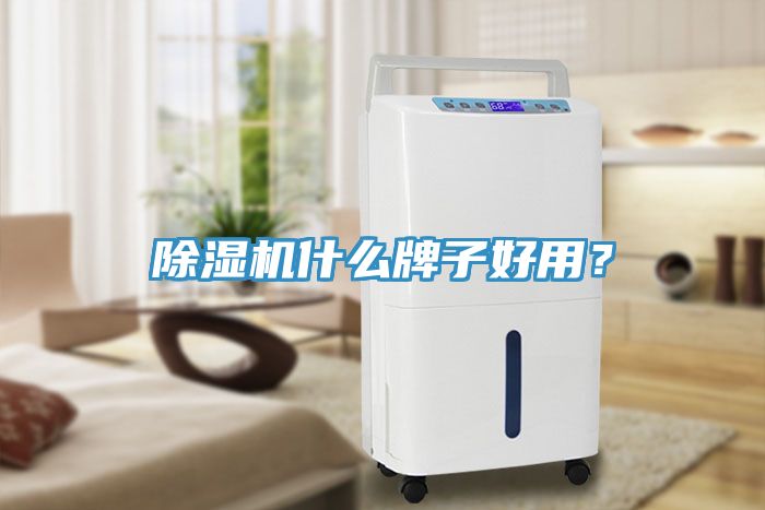 猫咪成人官网什么牌子好用？