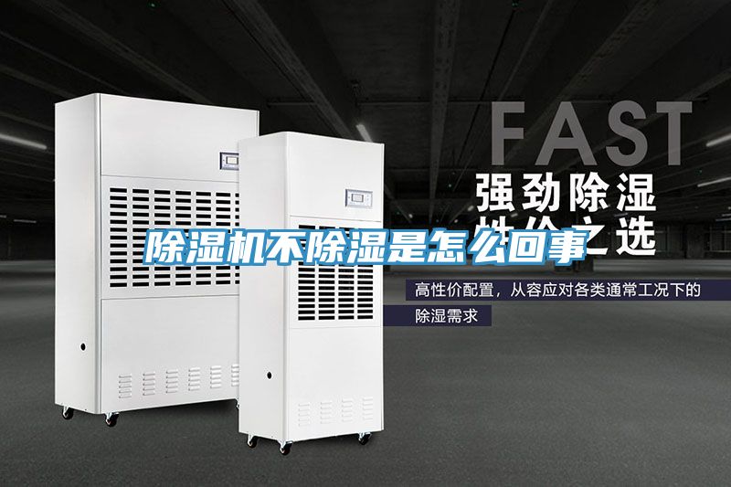 猫咪成人官网不除湿是怎么回事