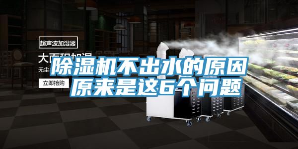 猫咪成人官网不出水的原因 原来是这6个问题