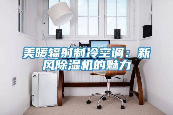 美暖辐射制冷空调：新风猫咪成人官网的魅力