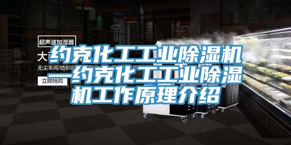 约克化工工业猫咪成人官网—约克化工工业猫咪成人官网工作原理介绍