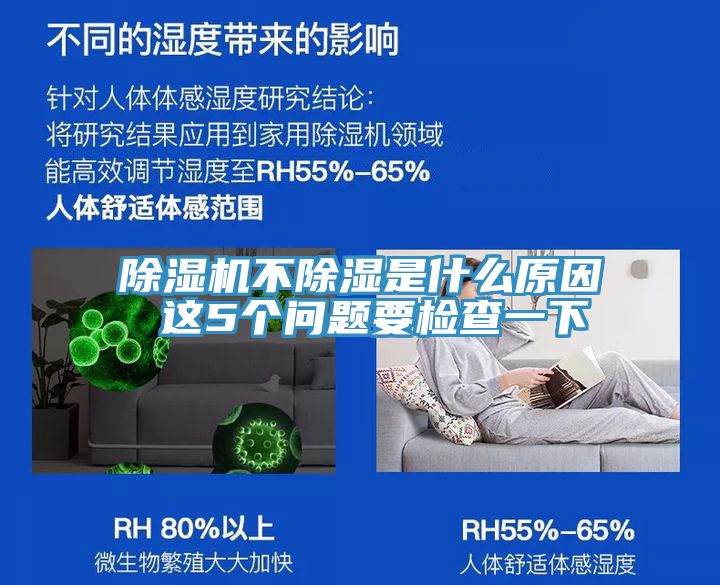 猫咪成人官网不除湿是什么原因 这5个问题要检查一下