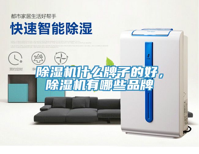 猫咪成人官网什么牌子的好，猫咪成人官网有哪些品牌