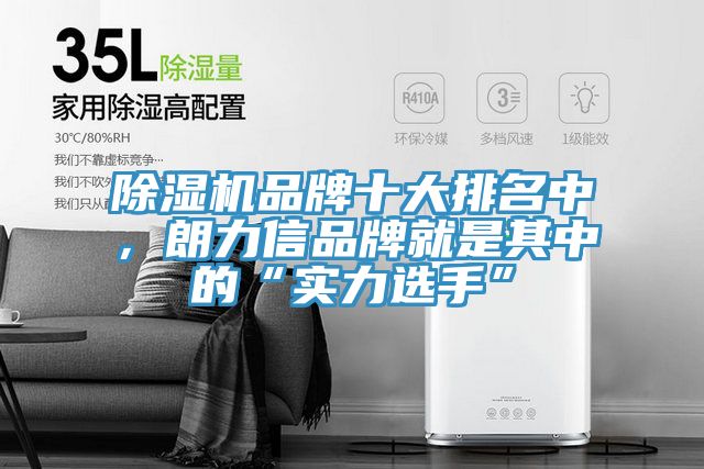 猫咪成人官网品牌十大排名中，朗力信品牌就是其中的“实力选手”