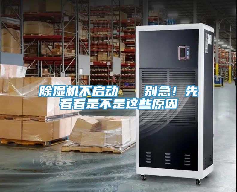 猫咪成人官网不启动   别急！先看看是不是这些原因