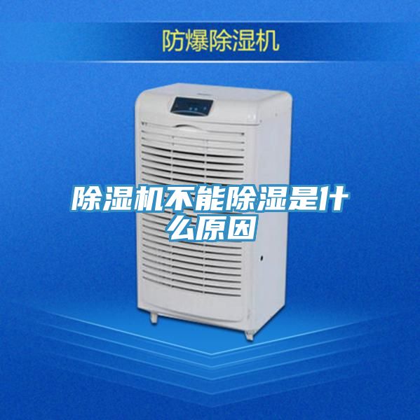 猫咪成人官网不能除湿是什么原因