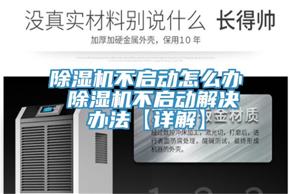 猫咪成人官网不启动怎么办 猫咪成人官网不启动解决办法【详解】