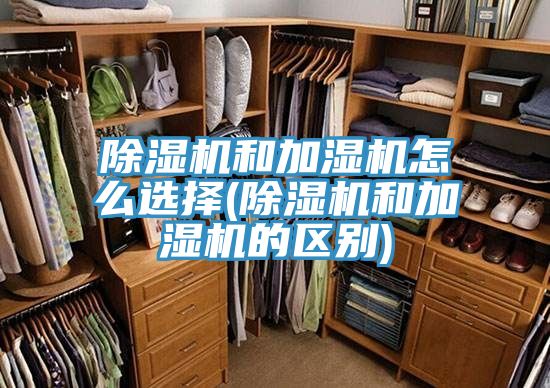 猫咪成人官网和加湿机怎么选择(猫咪成人官网和加湿机的区别)