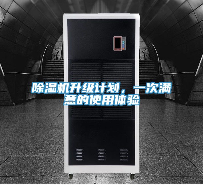 猫咪成人官网升级计划，一次满意的使用体验