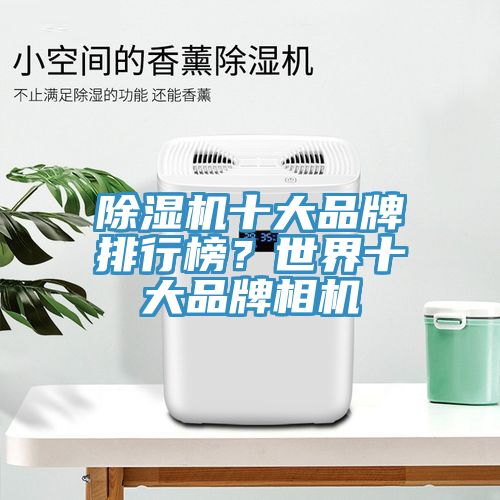 猫咪成人官网十大品牌排行榜？世界十大品牌相机