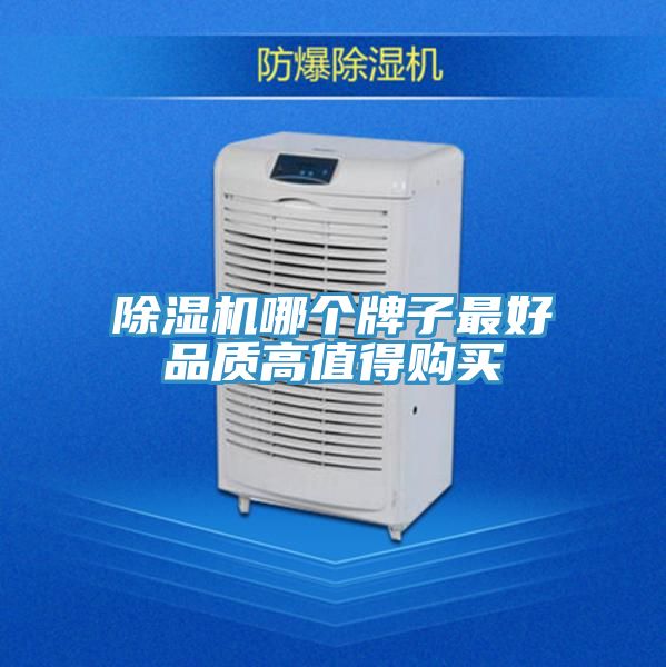 猫咪成人官网哪个牌子最好品质高值得购买