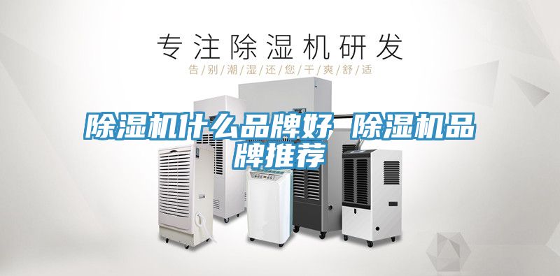 猫咪成人官网什么品牌好 猫咪成人官网品牌推荐