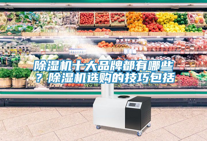猫咪成人官网十大品牌都有哪些？猫咪成人官网选购的技巧包括