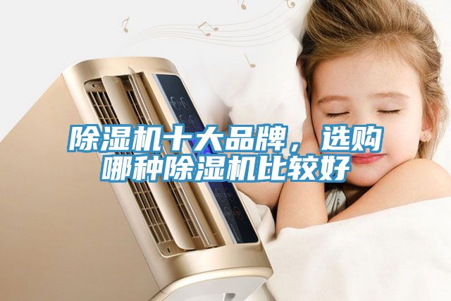 猫咪成人官网十大品牌，选购哪种猫咪成人官网比较好