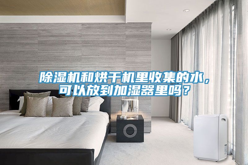 猫咪成人官网和烘干机里收集的水，可以放到加湿器里吗？