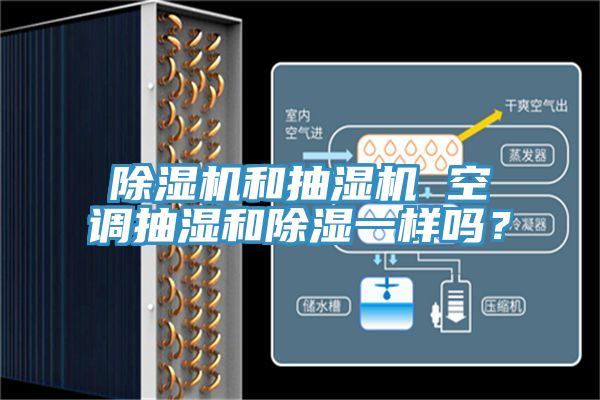 猫咪成人官网和抽湿机 空调抽湿和除湿一样吗？