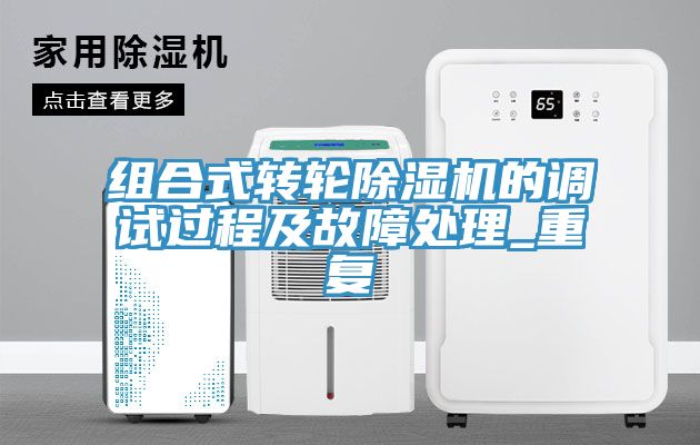 组合式转轮猫咪成人官网的调试过程及故障处理_重复