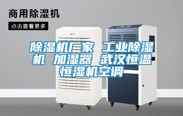 猫咪成人官网厂家 工业猫咪成人官网 加湿器 武汉恒温恒湿机空调