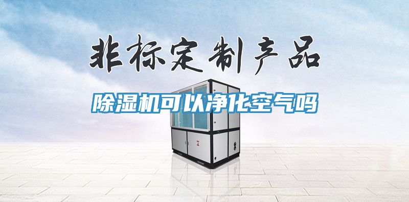 猫咪成人官网可以净化空气吗