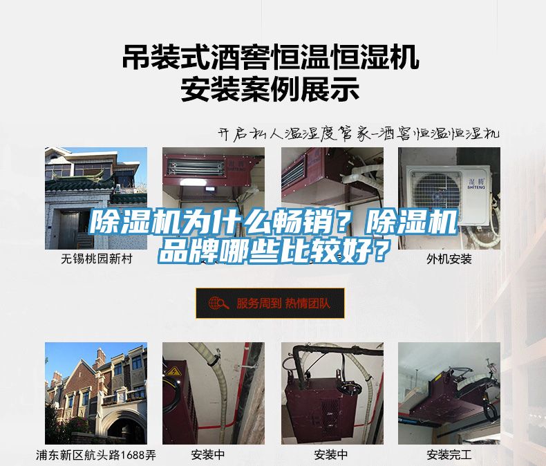 猫咪成人官网为什么畅销？猫咪成人官网品牌哪些比较好？