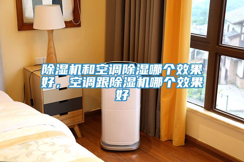 猫咪成人官网和空调除湿哪个效果好，空调跟猫咪成人官网哪个效果好