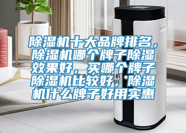 猫咪成人官网十大品牌排名，猫咪成人官网哪个牌子除湿效果好，买哪个牌子猫咪成人官网比较好，猫咪成人官网什么牌子好用实惠