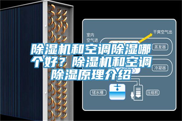 猫咪成人官网和空调除湿哪个好？猫咪成人官网和空调除湿原理介绍