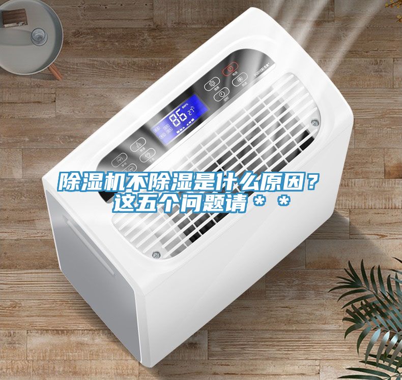 猫咪成人官网不除湿是什么原因？ 这五个问题请＊＊