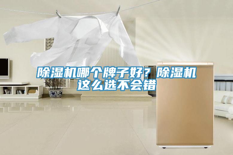 猫咪成人官网哪个牌子好？猫咪成人官网这么选不会错