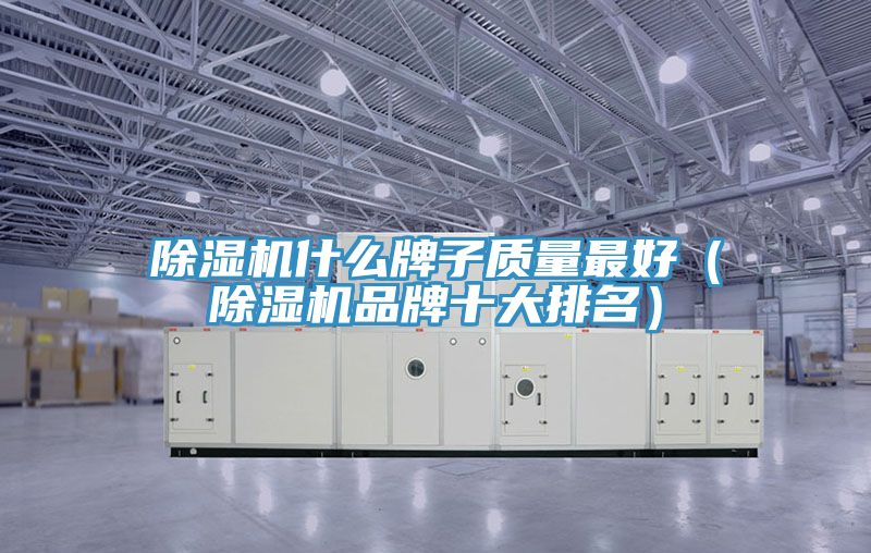 猫咪成人官网什么牌子质量最好（猫咪成人官网品牌十大排名）