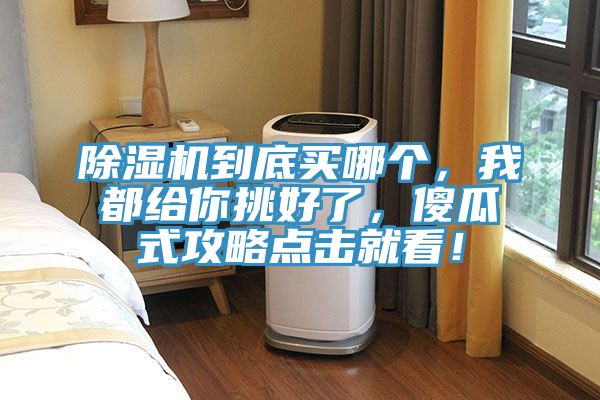 猫咪成人官网到底买哪个，我都给你挑好了，傻瓜式攻略点击就看！