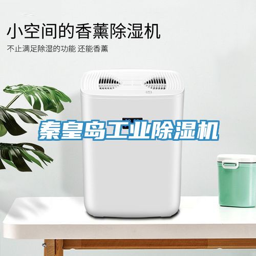 秦皇岛工业猫咪成人官网