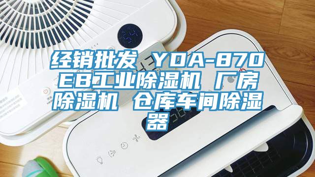 经销批发 YDA-870EB工业猫咪成人官网 厂房猫咪成人官网 仓库车间除湿器