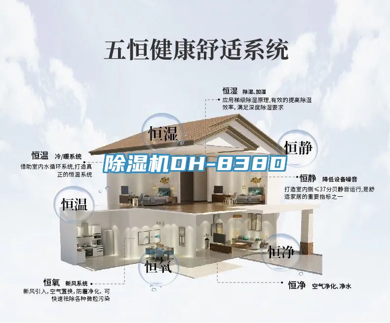 猫咪成人官网DH-838D