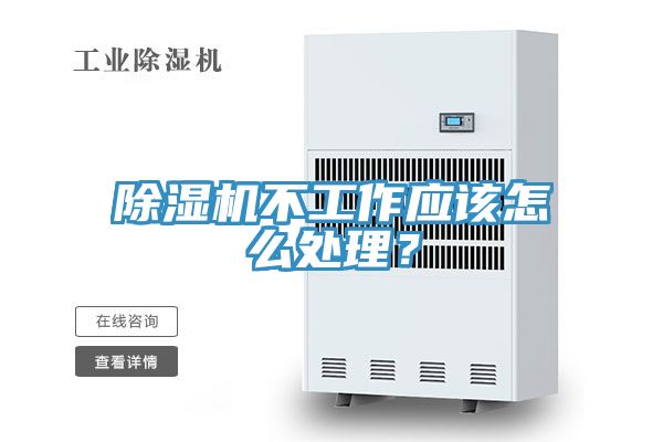 猫咪成人官网不工作应该怎么处理？