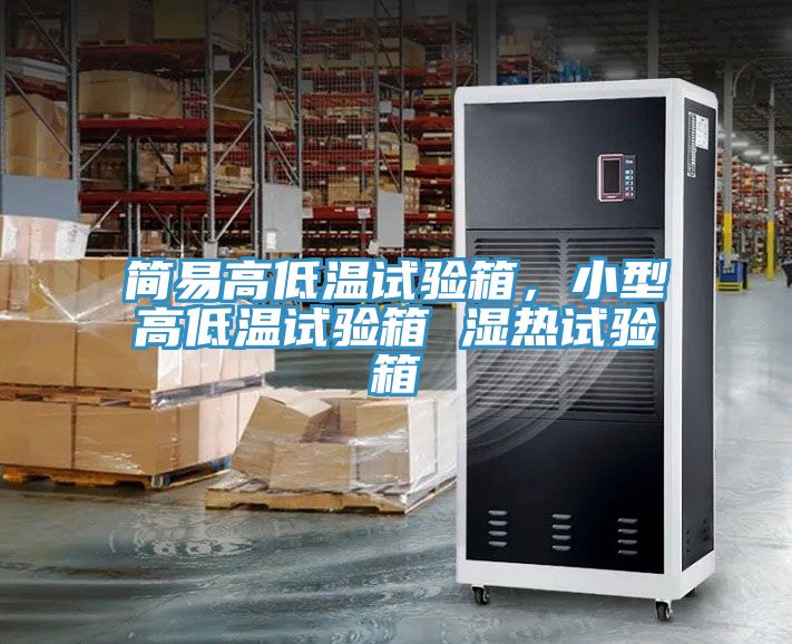 简易高低温试验箱，小型高低温试验箱 湿热试验箱