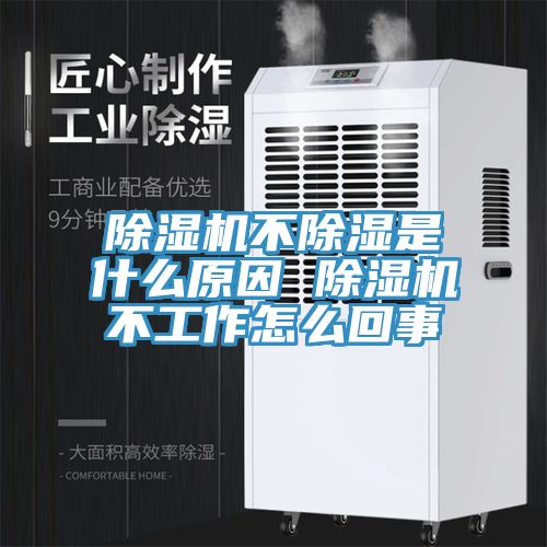 猫咪成人官网不除湿是什么原因 猫咪成人官网不工作怎么回事