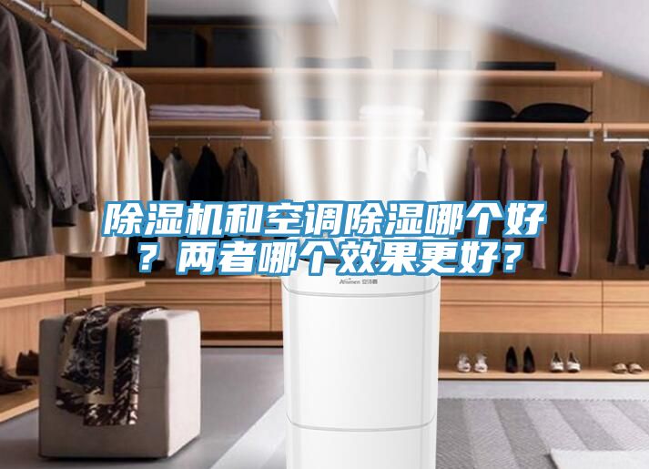 猫咪成人官网和空调除湿哪个好？两者哪个效果更好？
