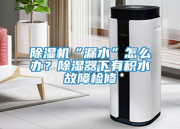 猫咪成人官网“漏水”怎么办？除湿器下有积水故障检修