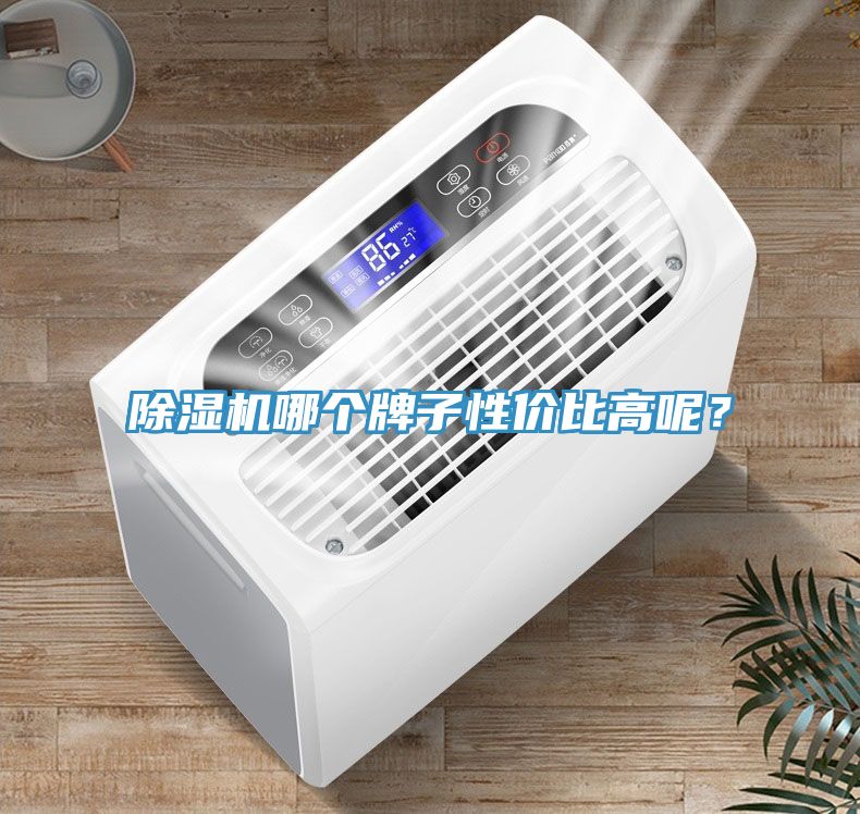猫咪成人官网哪个牌子性价比高呢？