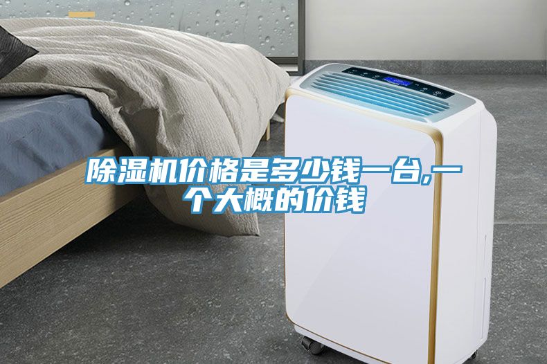 猫咪成人官网价格是多少钱一台,一个大概的价钱
