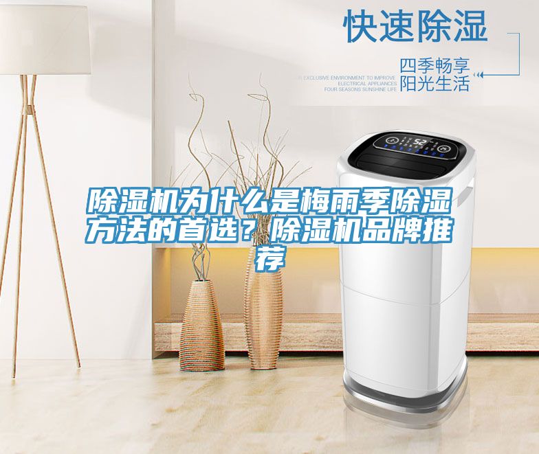 猫咪成人官网为什么是梅雨季除湿方法的首选？猫咪成人官网品牌推荐