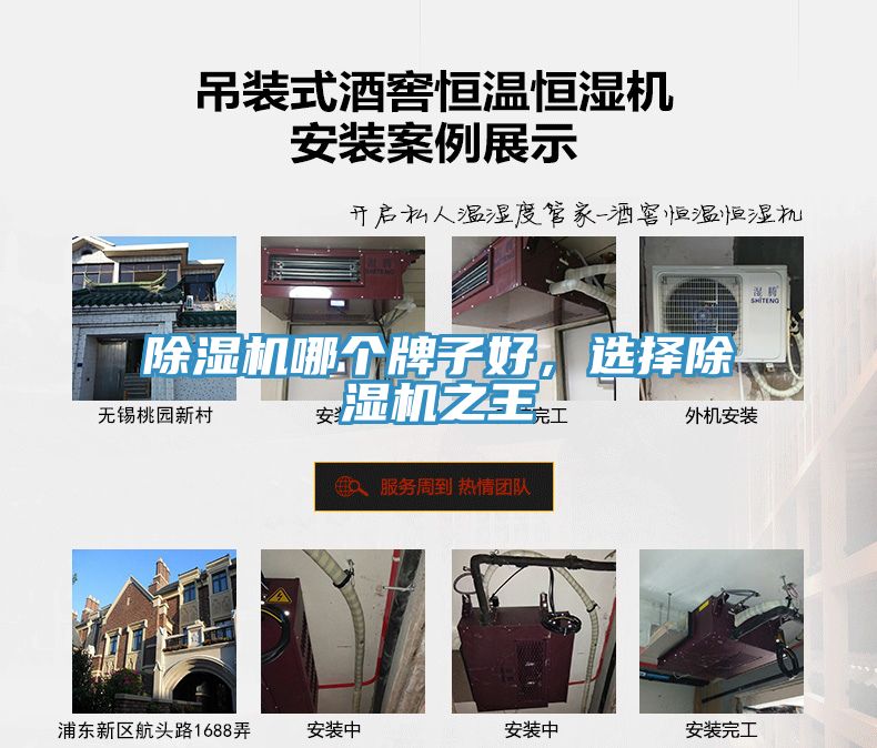 猫咪成人官网哪个牌子好，选择猫咪成人官网之王