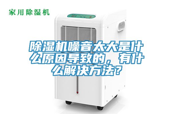 猫咪成人官网噪音太大是什么原因导致的，有什么解决方法？